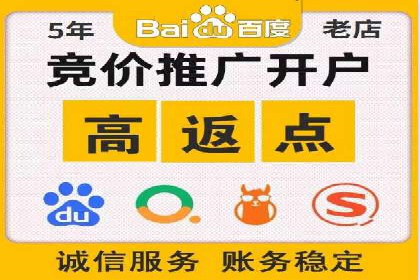 百度推广竞价全解析：某电商平台的营销策略